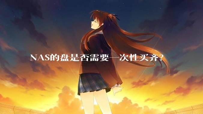 NAS的盘是否需要一次性买齐？
